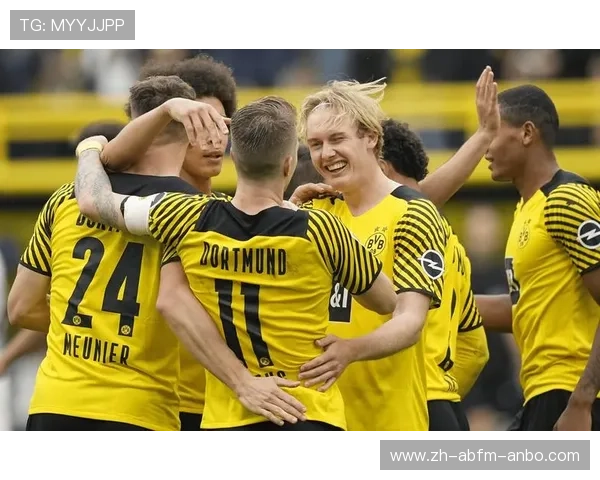 德甲24支球队一览