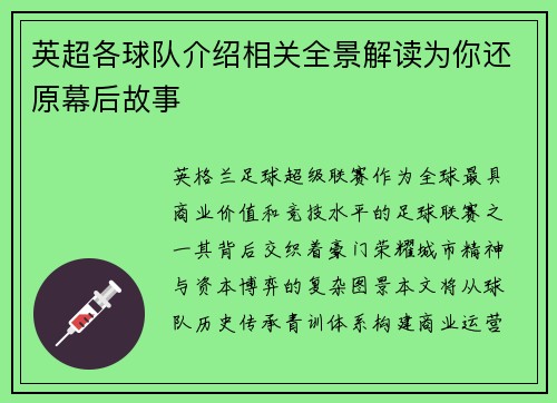 英超各球队介绍相关全景解读为你还原幕后故事