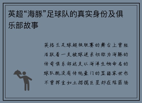 英超“海豚”足球队的真实身份及俱乐部故事